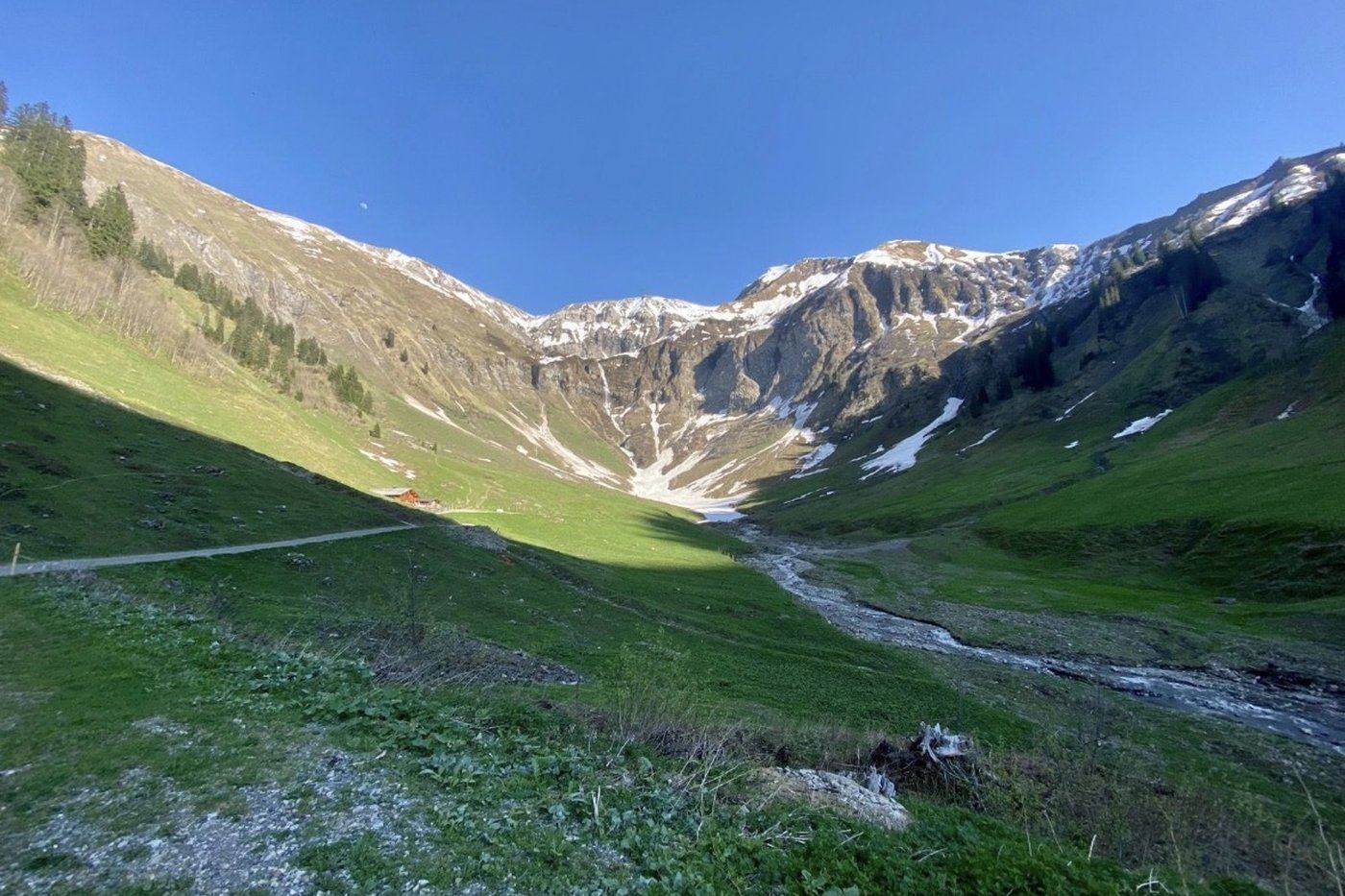 Sommerlicher Almtalkessel mit grünen Wiesen, Bach und Almhütte unterhalb der Käseralpe im Allgäu