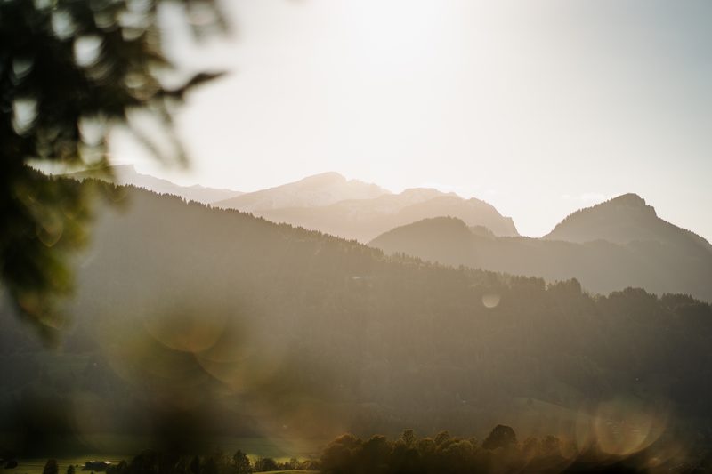 Abendlicht über den bewaldeten Höhenzügen am Söllereck bei Oberstdorf
