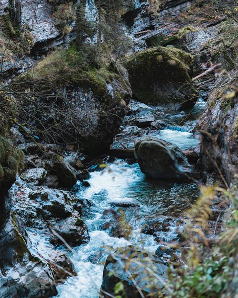 Turquoise mountain stream of the Breitach over mossy rocks in the Breitachklamm gorge
