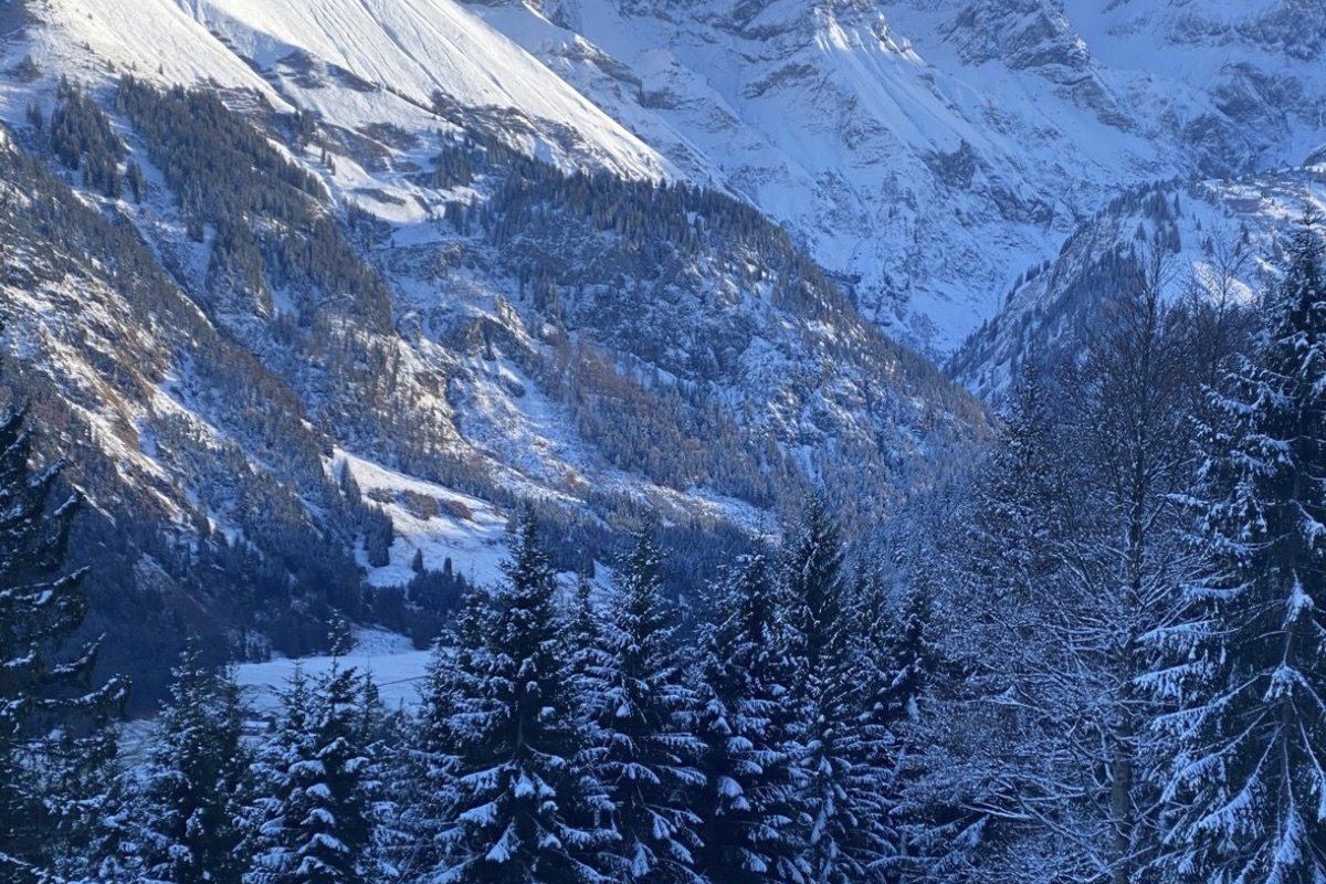 Snow-covered Stillach valley on a clear winter day, the Allgäu main ridge with deeply snowed firs in the foreground
